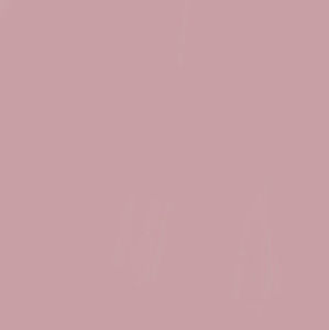 Meet your Posher, Sophia